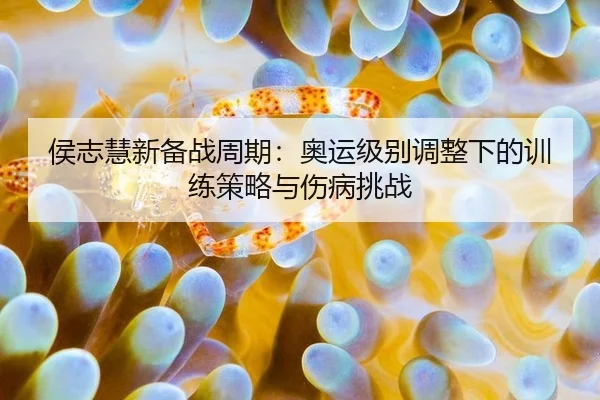 侯志慧新备战周期：奥运级别调整下的训练策略与伤病挑战