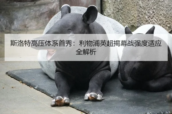 斯洛特高压体系首秀：利物浦英超揭幕战强度适应全解析