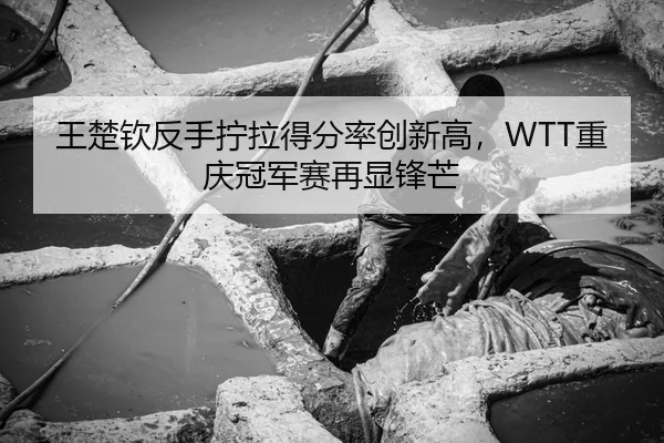 王楚钦反手拧拉得分率创新高，WTT重庆冠军赛再显锋芒