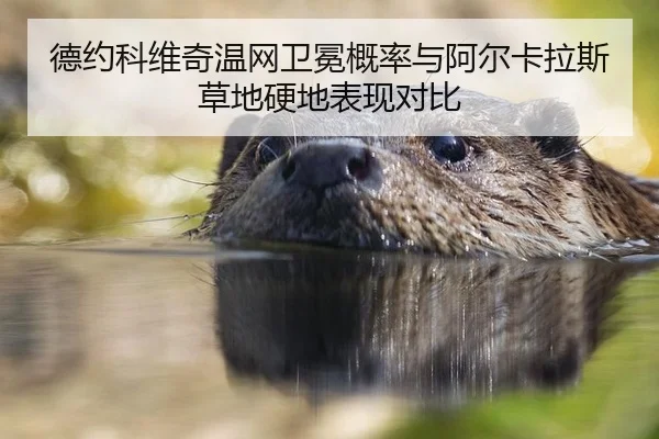 德约科维奇温网卫冕概率与阿尔卡拉斯草地硬地表现对比