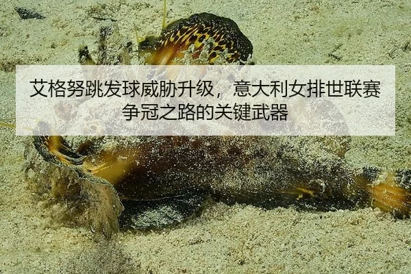 ai-ge-nu-tiao-fa-qiu-wei-xie-sheng-ji-yi-da-li-nv-pai-shi-lian-sai-zheng-guan-zhi-lu-de-guan-jian-wu-qi-3-850.jpg