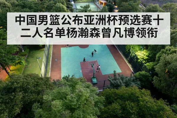 中国男篮公布亚洲杯预选赛十二人名单杨瀚森曾凡博领衔
