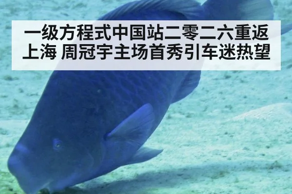 一级方程式中国站二零二六重返上海 周冠宇主场首秀引车迷热望