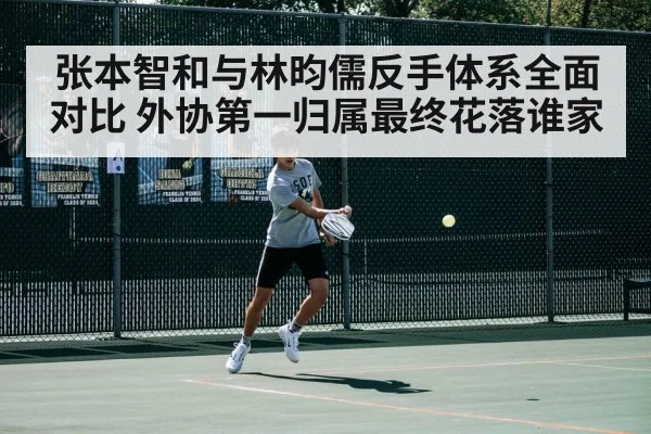 张本智和与林昀儒反手体系全面对比 外协第一归属最终花落谁家