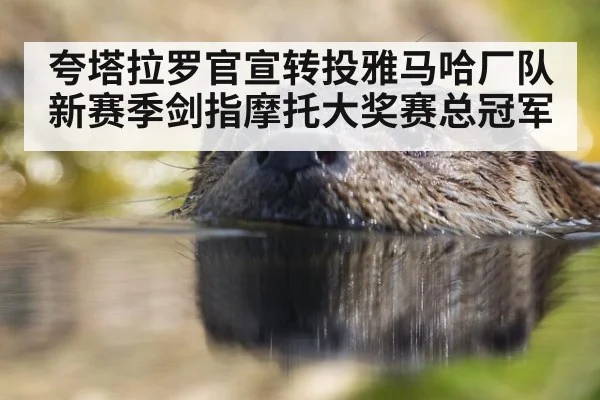 夸塔拉罗官宣转投雅马哈厂队 新赛季剑指摩托大奖赛总冠军